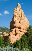 Red Canyon, UT