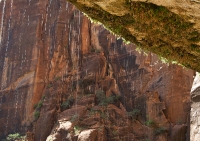 Weeping Rock