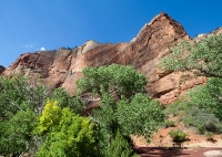 In Zion