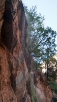 At Lower Emerald Pool