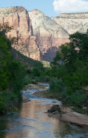 Along the Virgin River