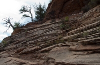 Start of the Canyon Overlook Trail