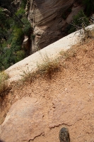 Along the Canyon Overlook Trail