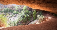 Along the Canyon Overlook Trail