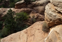 Along the Canyon Overlook Trail