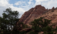 Along the Canyon Overlook Trail