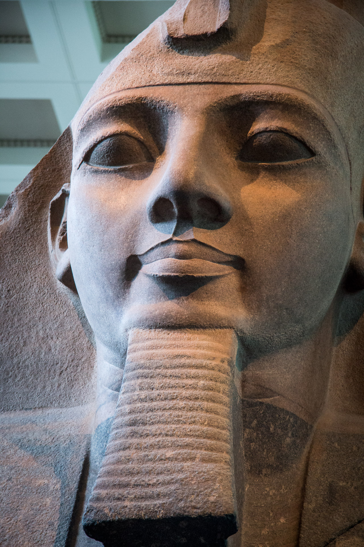Ramses II statue at the British Museum in London