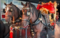 Lord Mayor's coach at the Museum of London