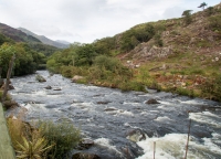 View from our backyard in Beddgelert