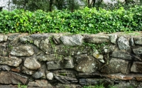 In Beddgelert