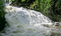 At Swallow Falls in Betws-y-Coed