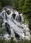 At Swallow Falls in Betws-y-Coed