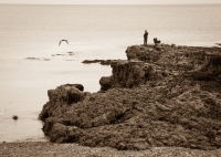 Penmon Point