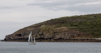 Puffin Island at Penmon Point