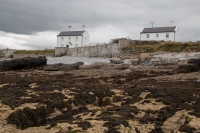 Penmon Point