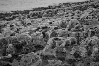 Penmon Point