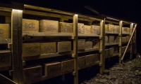Aging cheddar at Llechwald Slate Caverns