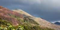 In Beddgelert