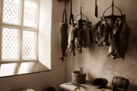 The Kitchen at Plas Mawr in Conwy