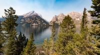 At Jenny Lake Overlook in Grand Teton National Park