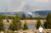 Along the Yellowstone West Entrance Road