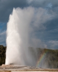 Old Faithful Geyser in Yellowstone