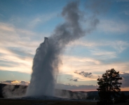 Old Faithful Geyser in Yellowstone