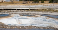 Spasmodic Geyser in Upper Geyser Basin in Yellowstone