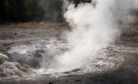 Spasmodic Geyser in Upper Geyser Basin in Yellowstone