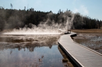 Upper Geyser Basin in Yellowstone