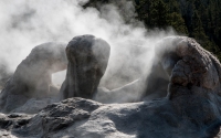 Grotto Geyser in Upper Geyser Basin in Yellowstone