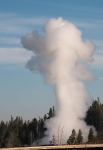 Eruption of Grand Geyser in Yellowstone