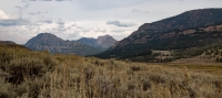 In Lamar Valley in Yellowstone