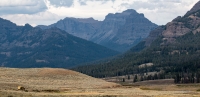 In Lamar Valley in Yellowstone