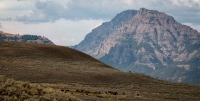 In Lamar Valley in Yellowstone