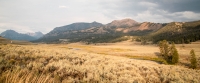 In Lamar Valley in Yellowstone