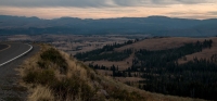 Near Mount Washburn in Yellowstone