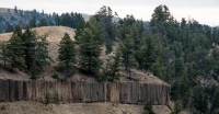 Basalt columns in Yellowstone