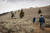 Hiking to Undine Falls in Yellowstone