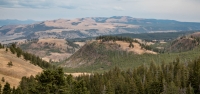 Along Blacktail Plateau Drive in Yellowstone