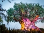Aug & Sep 2017: WDW - Animal Kingdom