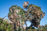 Pandora at Animal Kingdom