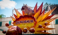 At Animal Kingdom