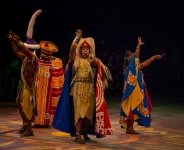 Festival of the Lion King at Animal Kingdom