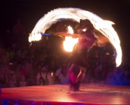 Festival of the Lion King at Animal Kingdom