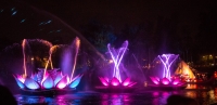 Rivers of Light show at Animal Kingdom