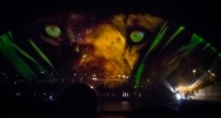 Rivers of Light show at Animal Kingdom