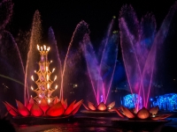 Rivers of Light show at Animal Kingdom