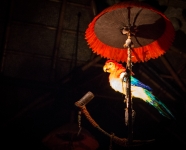 Enchanted Tiki Room at the Magic Kingdom