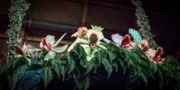 Enchanted Tiki Room at the Magic Kingdom